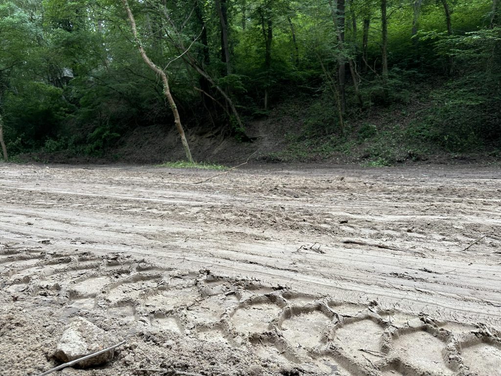 Следи от багер в гората при заведение Forest Beach, дадено под концесия от община Варна на територията на плаж 