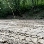 Следи от багер в гората при заведение Forest Beach, дадено под концесия от община Варна на територията на плаж "Ракитника"
