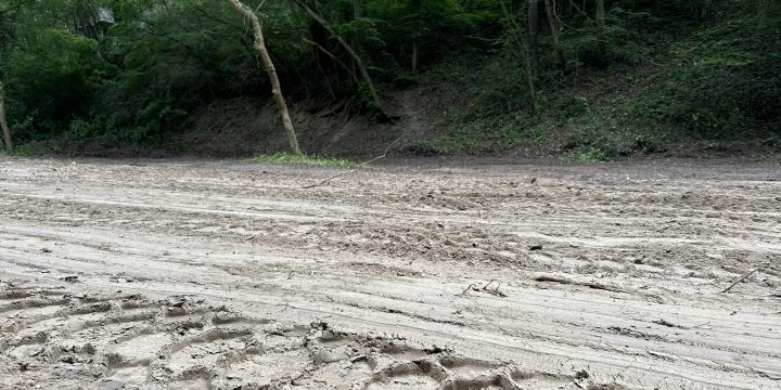 Нарушава ли условията за концесия  заведението Forest Beach на плаж „Черноморец“ (Ракитника)?